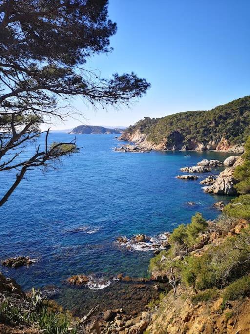Apartamento Con Piscina L' Ancora Calella De Palafrugell Bagian luar foto