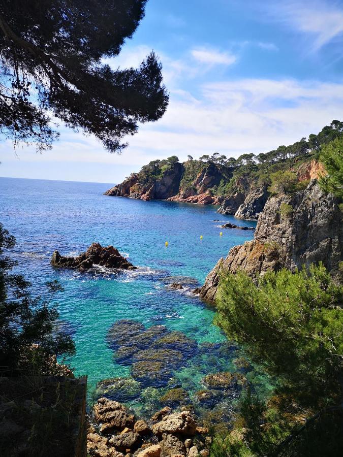 Apartamento Con Piscina L' Ancora Calella De Palafrugell Bagian luar foto